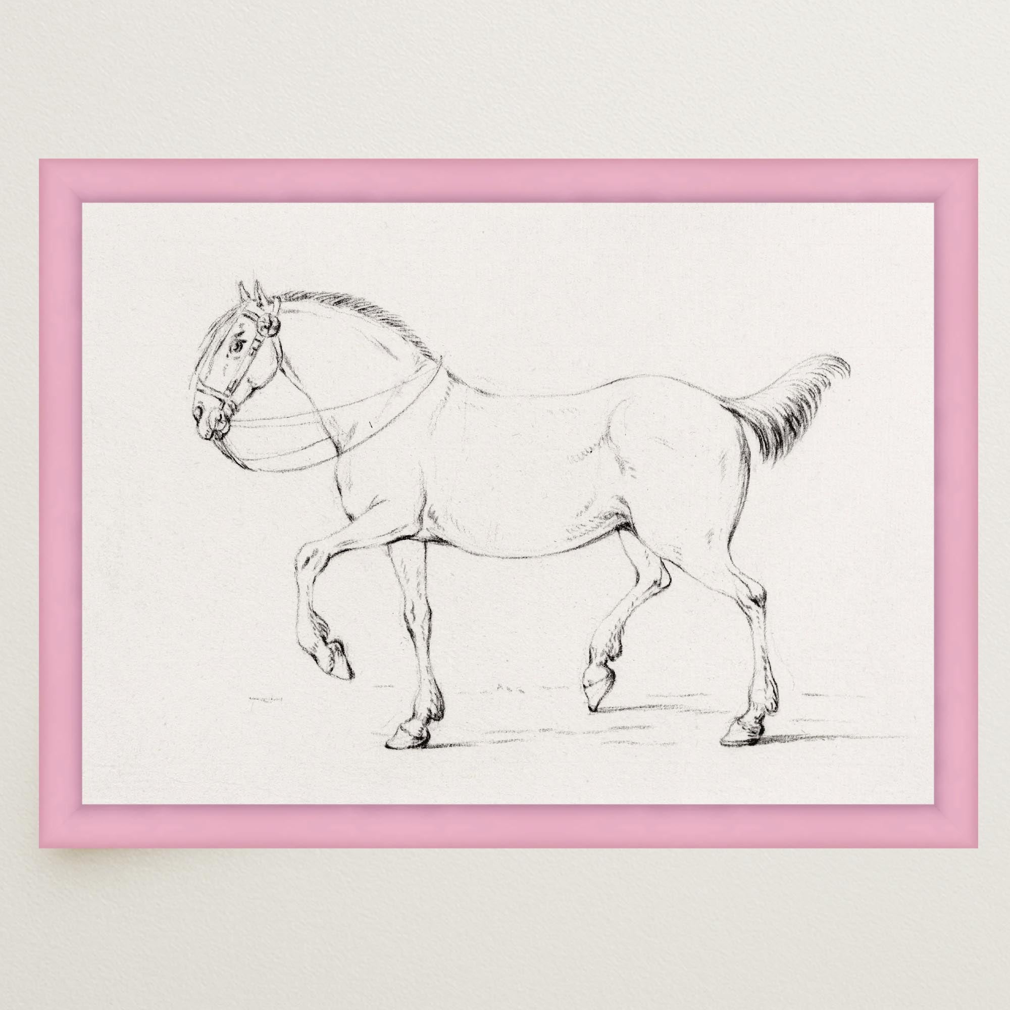 Horse Vintage Sketch Wall Art Print-Skudaboo