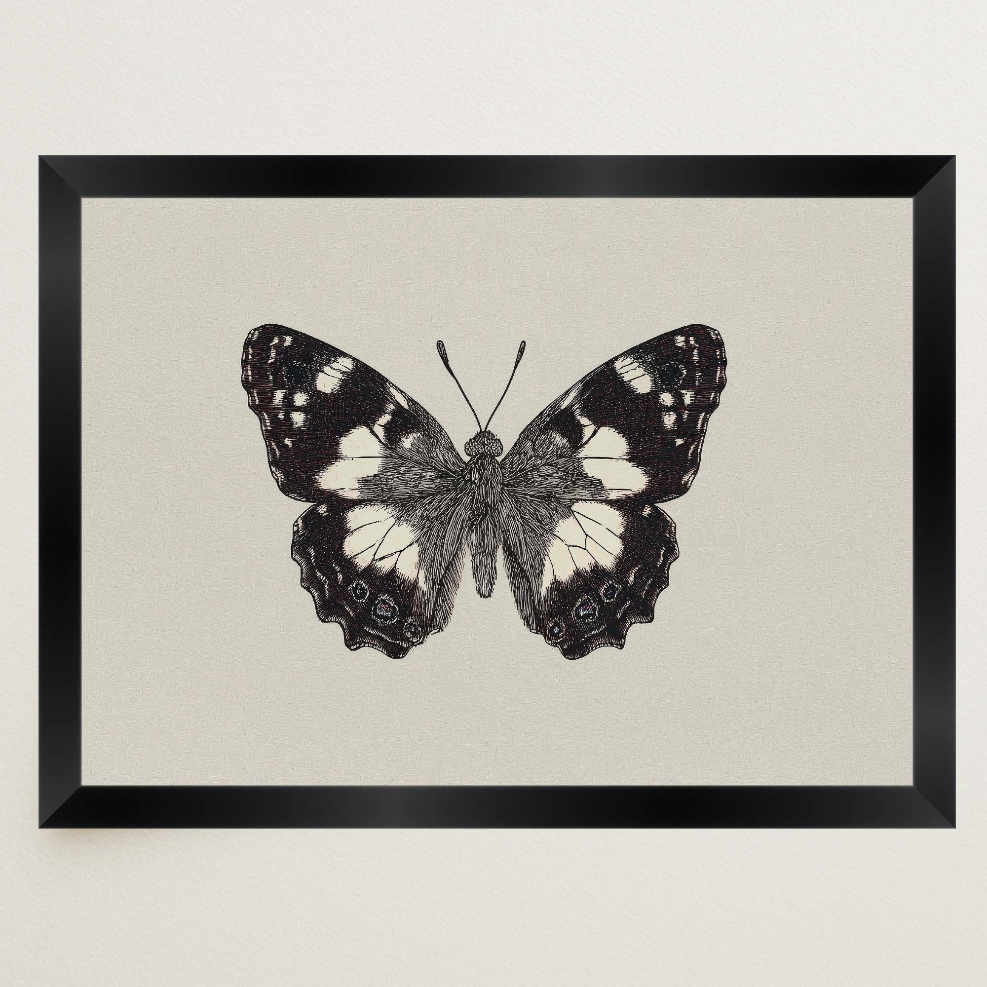 Vintage Style Black and White Butterfly Wall Art Print-Skudaboo