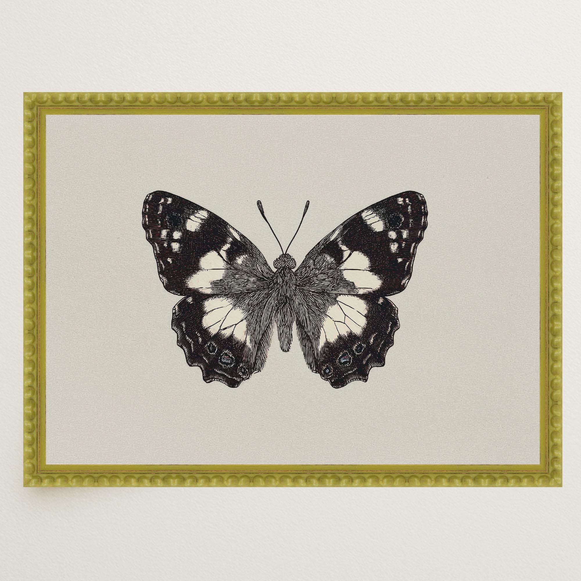Vintage Style Black and White Butterfly Wall Art Print-Skudaboo