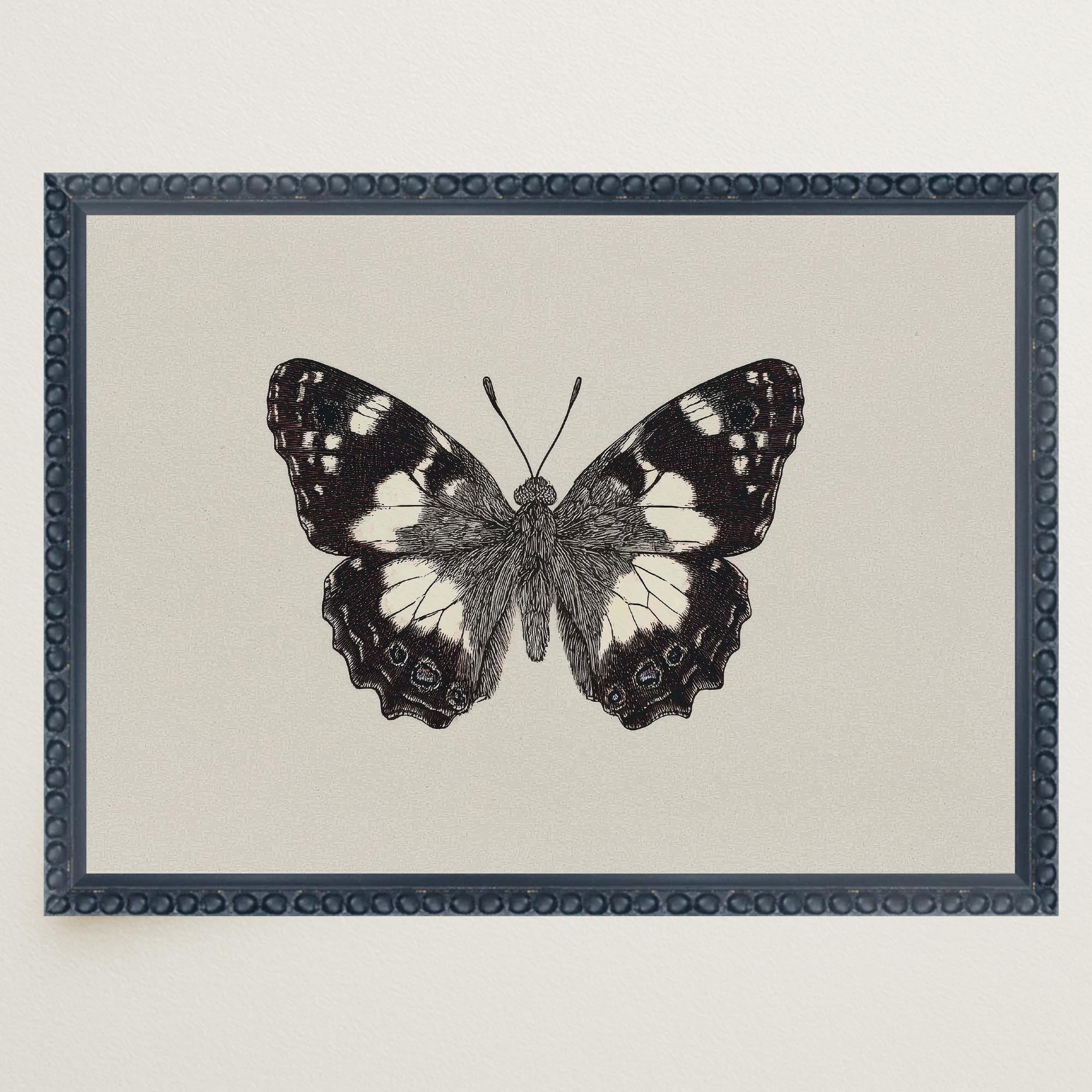 Vintage Style Black and White Butterfly Wall Art Print-Skudaboo