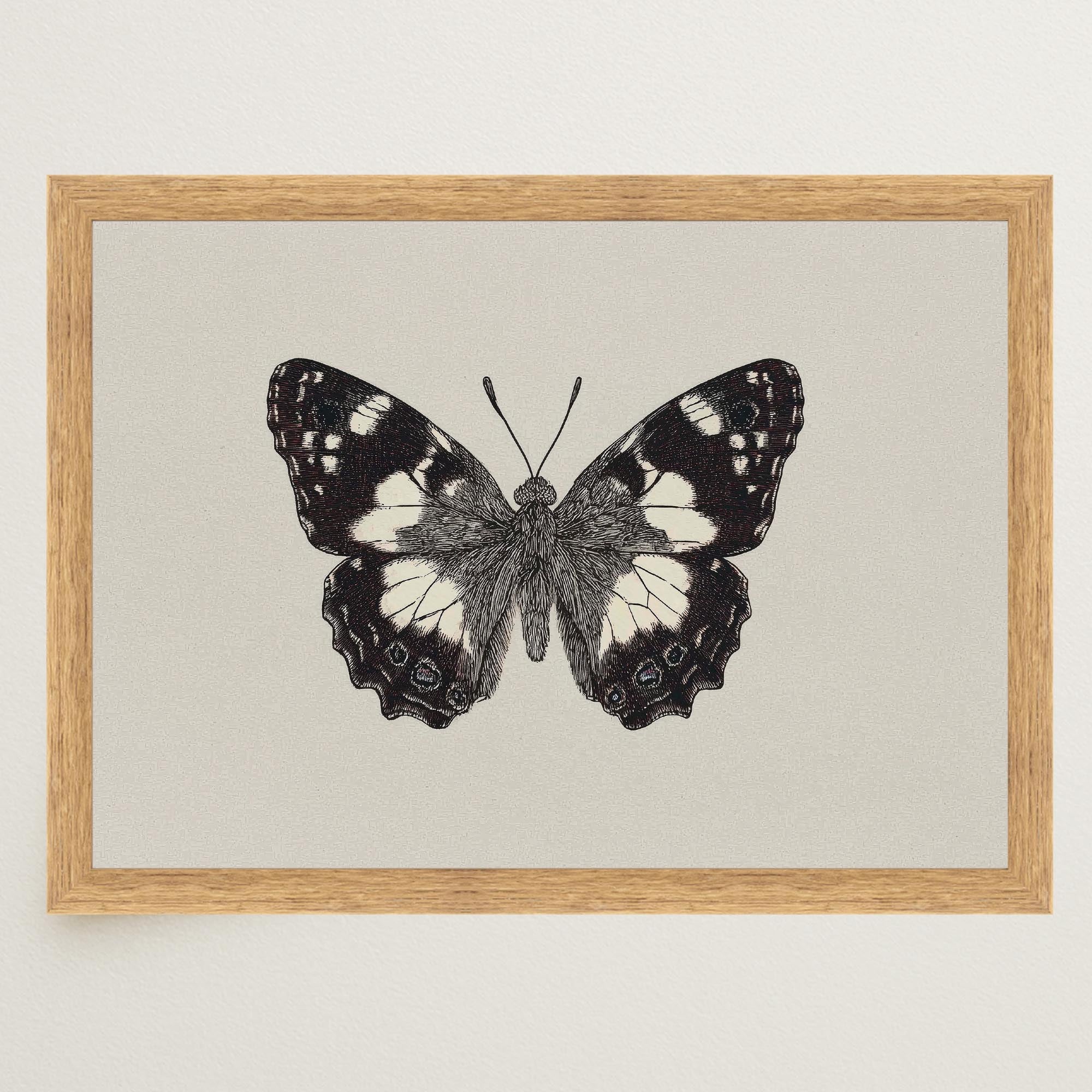 Vintage Style Black and White Butterfly Wall Art Print-Skudaboo