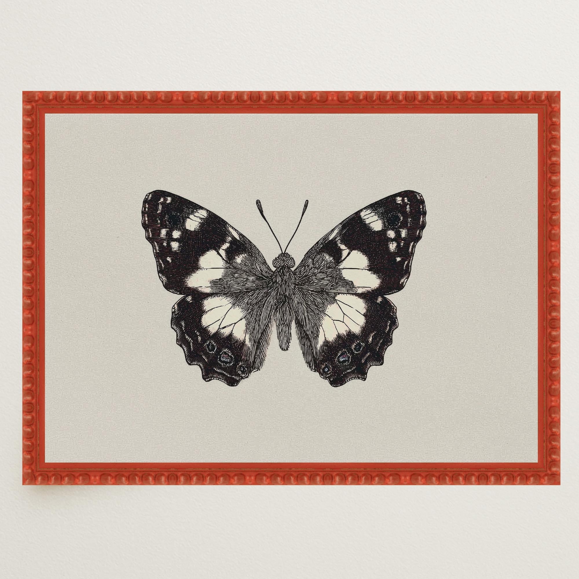 Vintage Style Black and White Butterfly Wall Art Print-Skudaboo