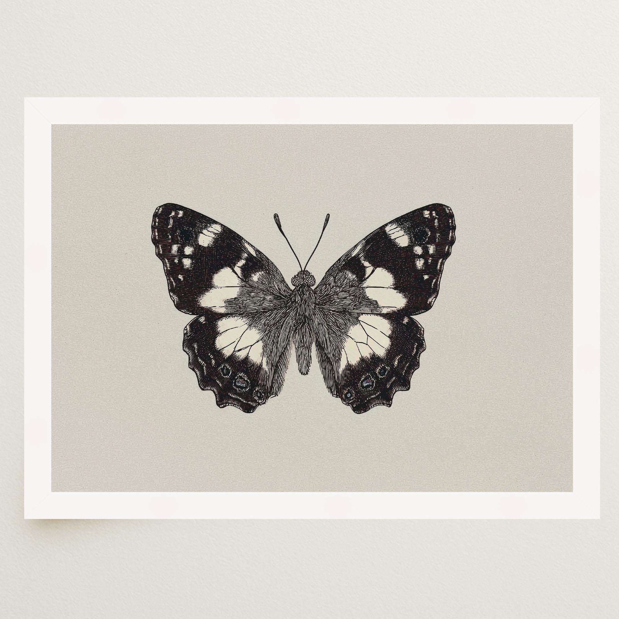 Vintage Style Black and White Butterfly Wall Art Print-Skudaboo
