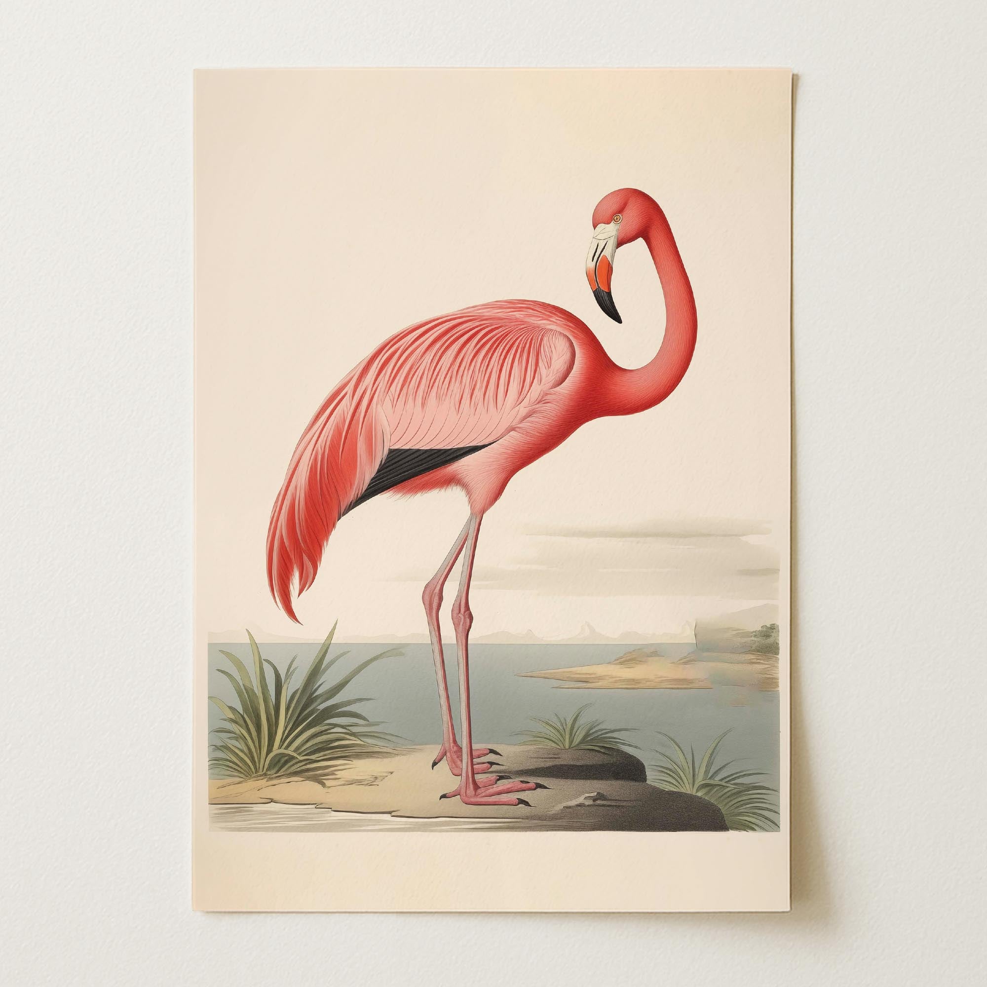 Vintage Style Pink Flamingo Wall Art Print-Skudaboo