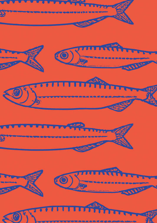 a group of fish on a red background