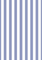 Blue Stripe Picture Mount-Skudaboo