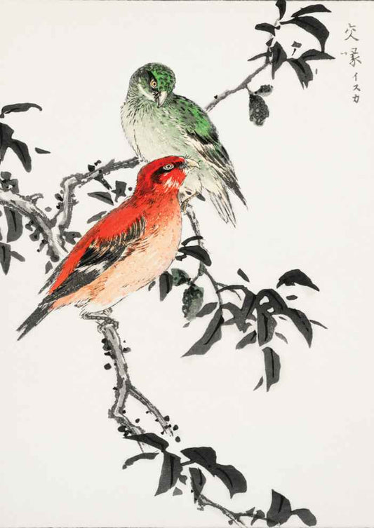Crossbill Birds Vintage Japanese Art Print