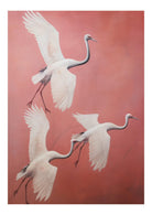 Flying Cranes Art Print-Skudaboo