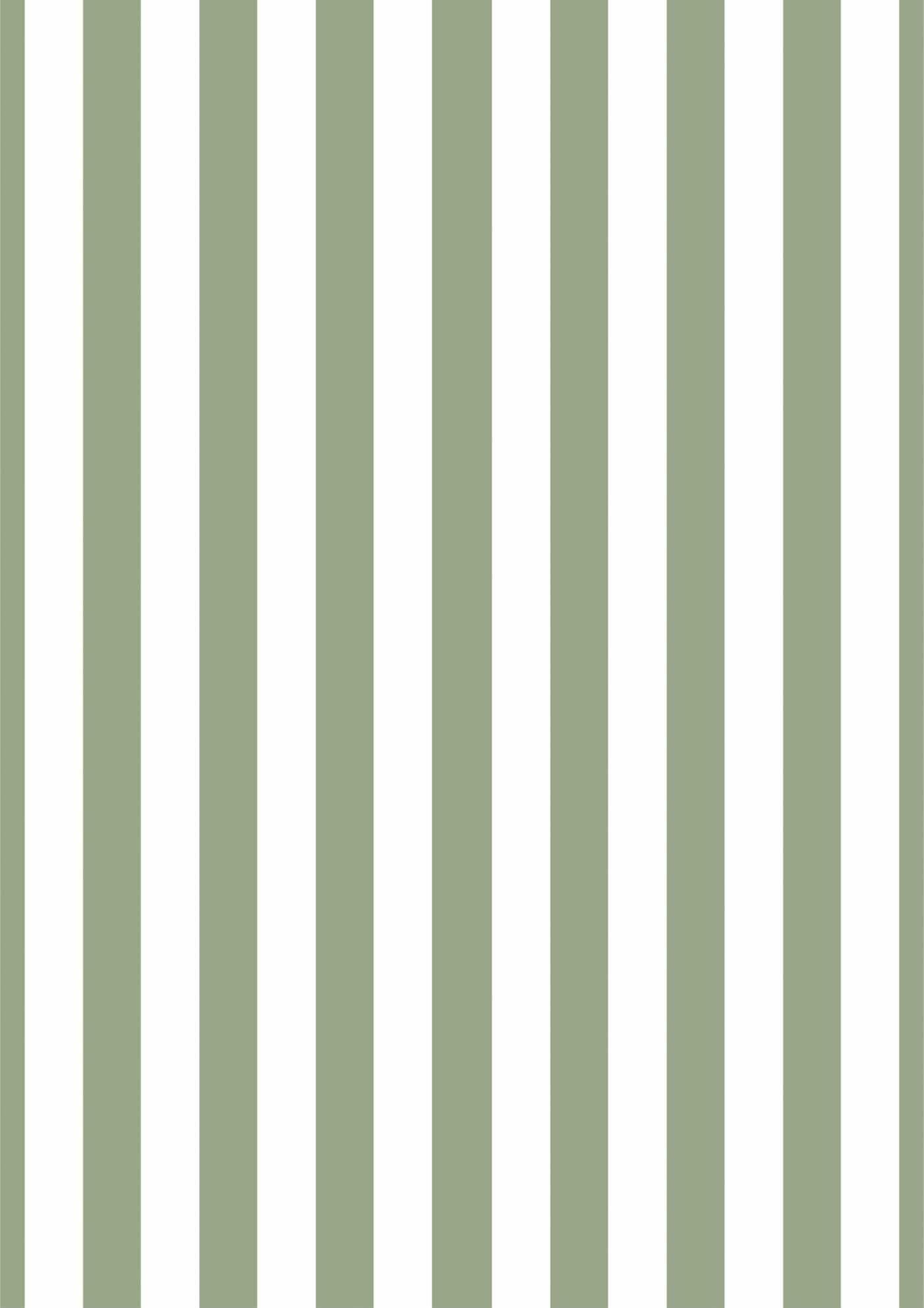 Green Stripe Picture Mount-Skudaboo