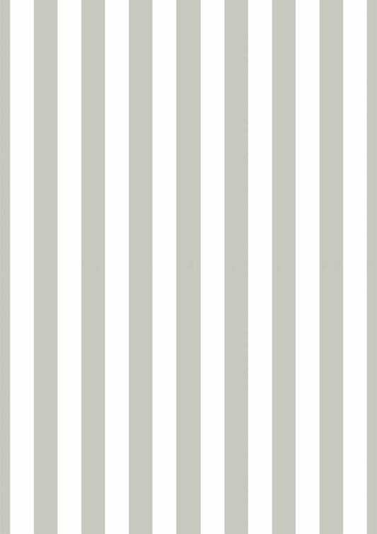 Grey Stripe Picture Mount