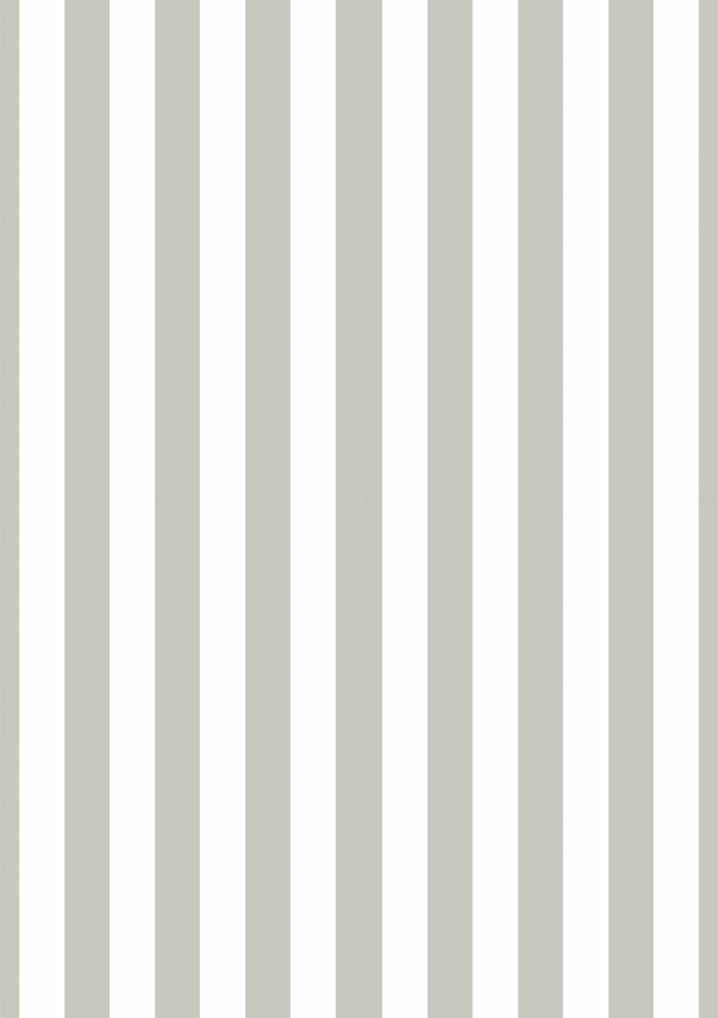 Grey Stripe Picture Mount
