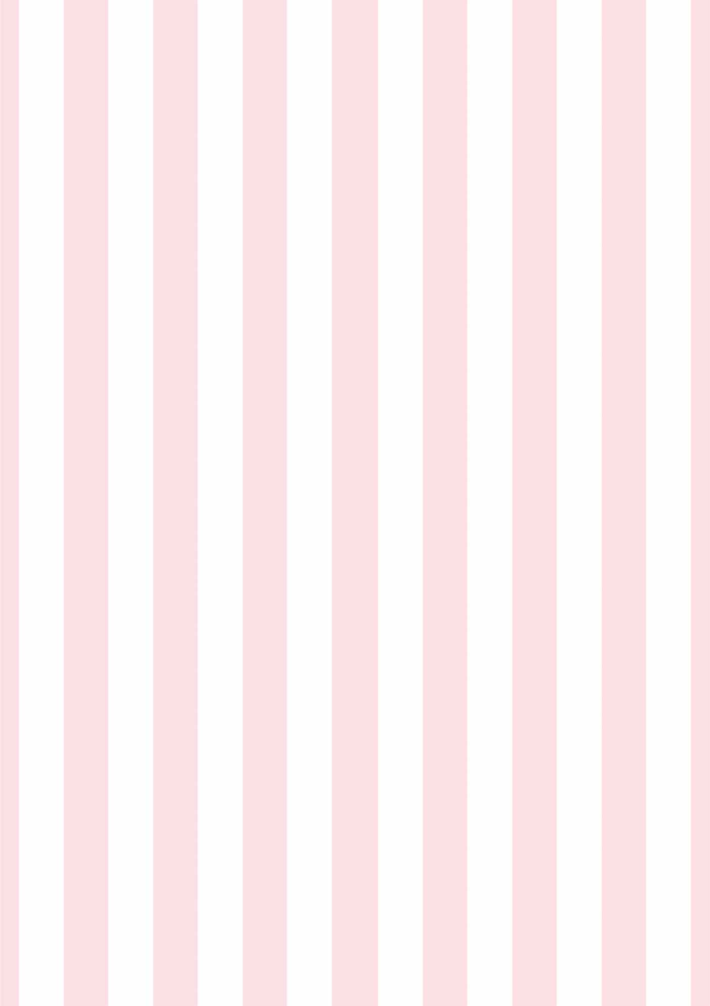 Light Pink Stripe Picture Mount