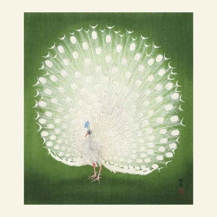 Ohara Koson Peacock Japanese Vintage Art Print-Skudaboo