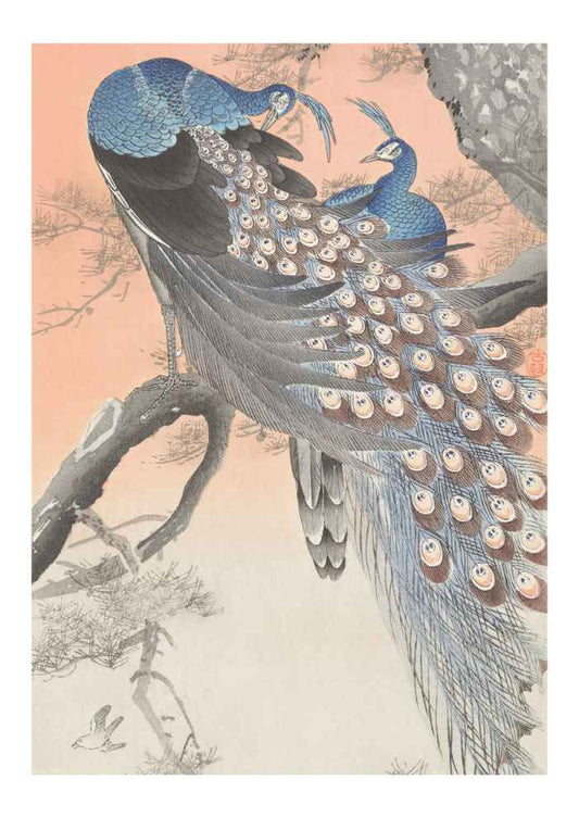 Ohara Koson Two Peacocks on Tree Branch Japanese Vintage Art Print