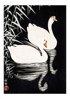 Ohara Koson White Geese Swimming Vintage Japanese Art Print-Skudaboo