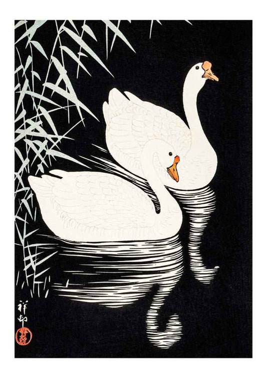 Ohara Koson White Geese Swimming Vintage Japanese Art Print