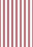 Pink Stripe Picture Mount-Skudaboo