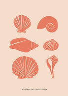 Seashell Art Print-Skudaboo