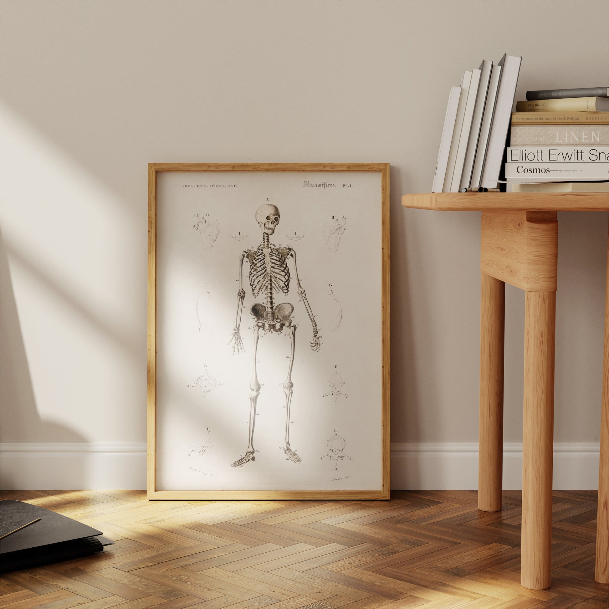 a picture of a skeleton in a wooden frame