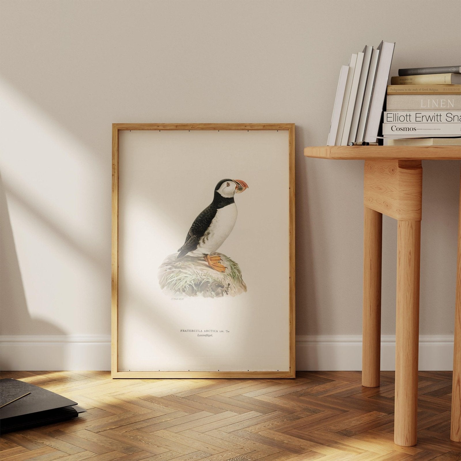 Vintage Puffin Art Print-Skudaboo