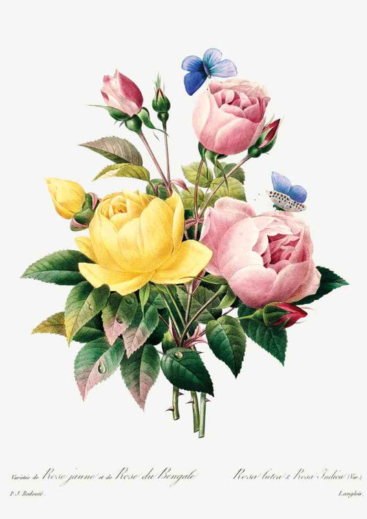 Vintage Roses Flower Art Print