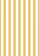 Yellow Stripe Picture Mount-Skudaboo