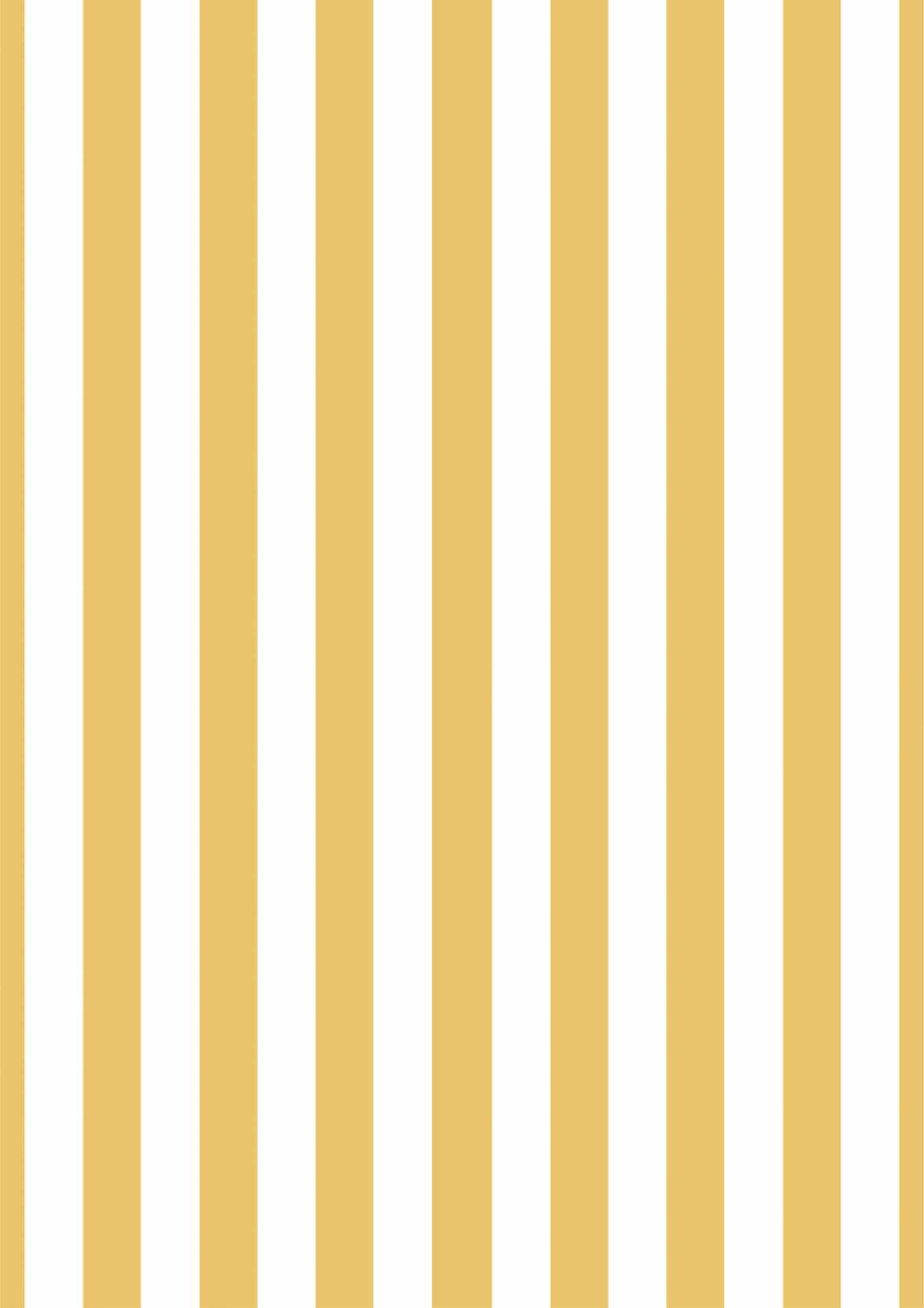 Yellow Stripe Picture Mount