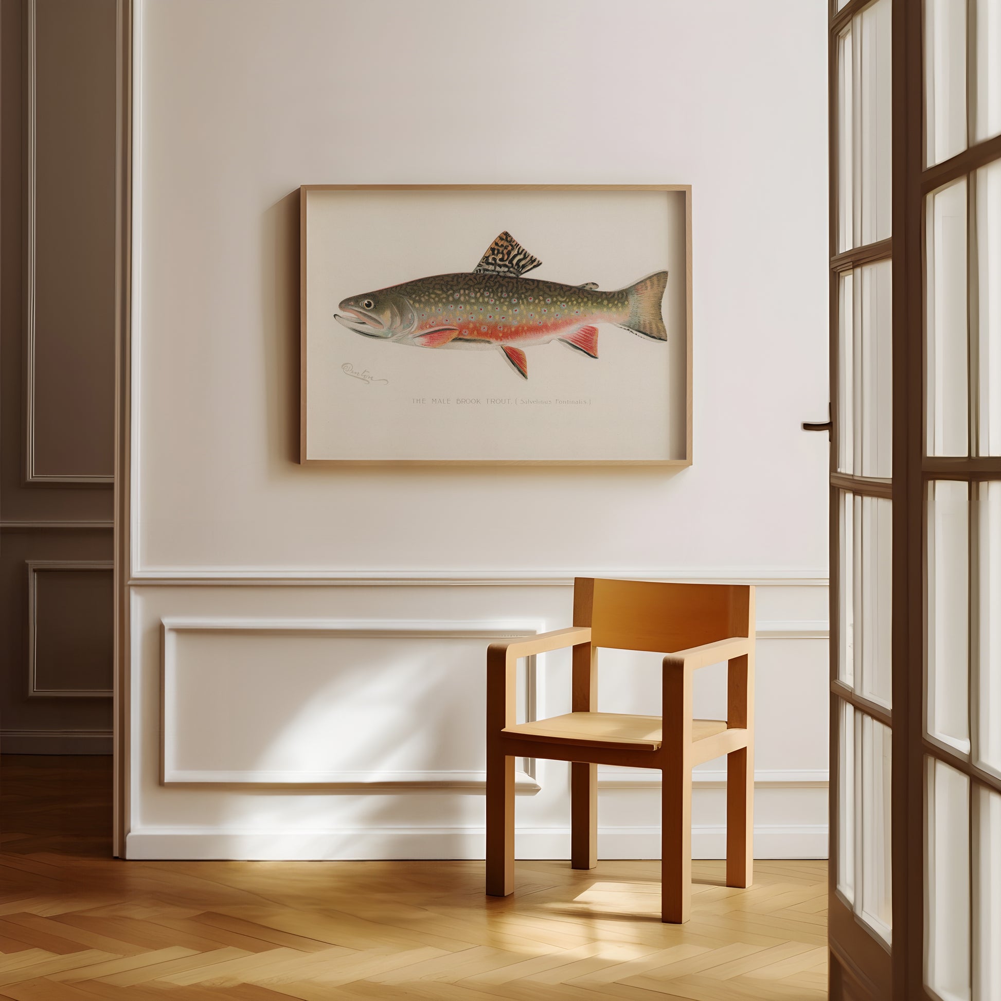 a picture of a fish hanging on a wall