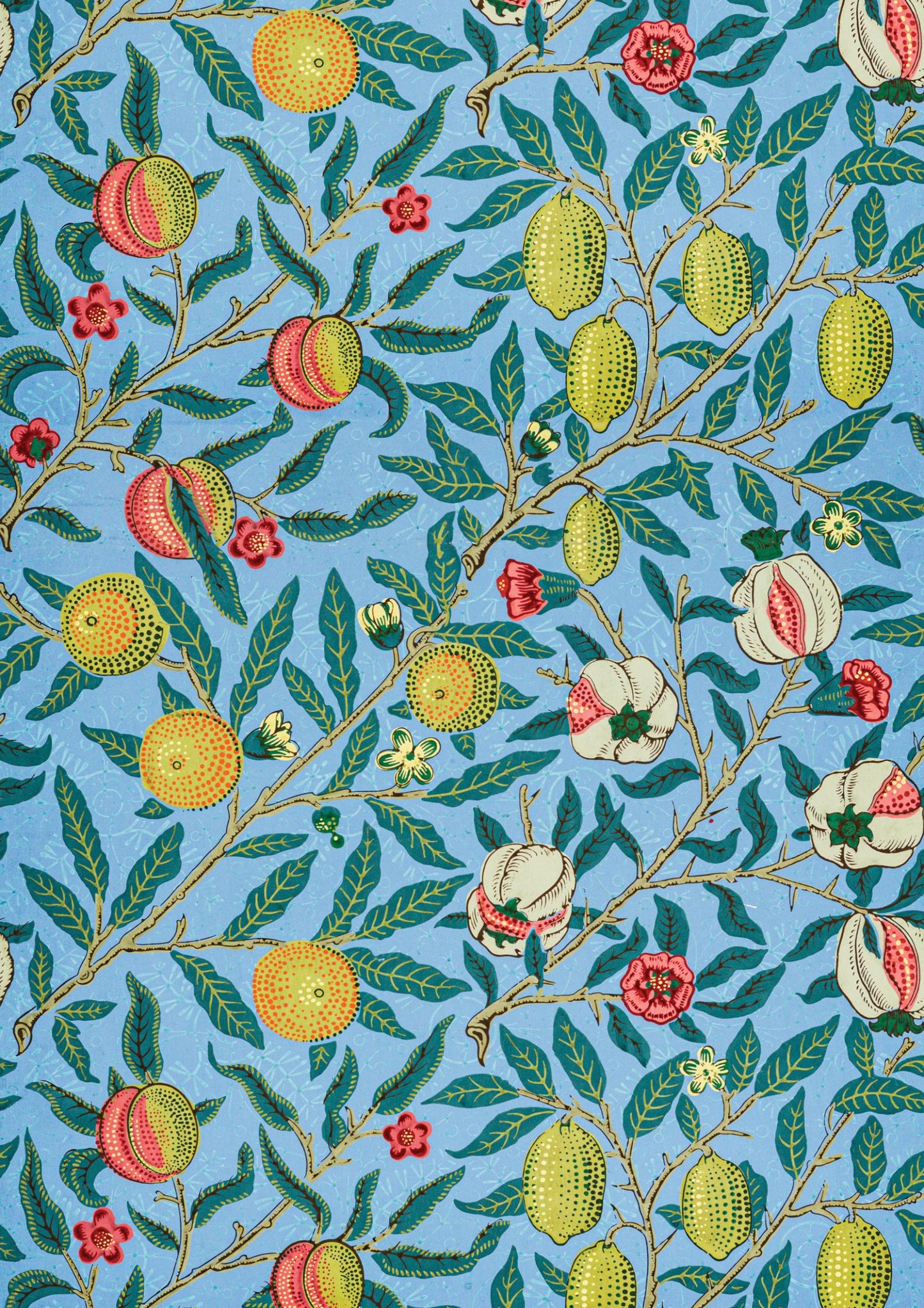 a blue background with fruit and leaves on it