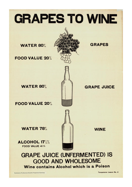 a poster with grapes to wine on it