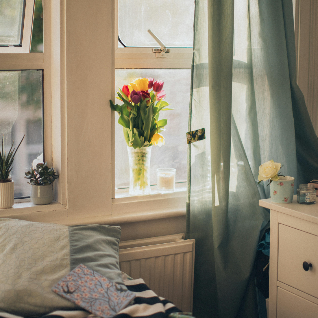 Tulips in Clear Vase Beside Window