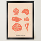 Seashell Coastal Art Print-Skudaboo