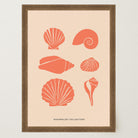 Seashell Coastal Art Print-Skudaboo