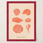 Seashell Coastal Art Print-Skudaboo