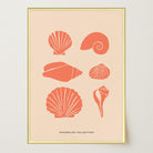 Seashell Coastal Art Print-Skudaboo