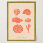 Seashell Coastal Art Print-Skudaboo