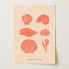 Seashell Coastal Art Print-Skudaboo