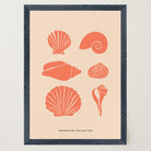 Seashell Coastal Art Print-Skudaboo