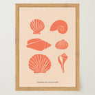 Seashell Coastal Art Print-Skudaboo