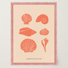 Seashell Coastal Art Print-Skudaboo