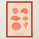 Seashell Coastal Art Print-Skudaboo