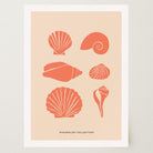 Seashell Coastal Art Print-Skudaboo