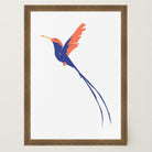 Hummingbird Art Print-Skudaboo