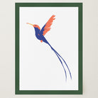 Hummingbird Art Print-Skudaboo