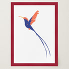 Hummingbird Art Print-Skudaboo