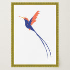 Hummingbird Art Print-Skudaboo