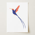 Hummingbird Art Print-Skudaboo