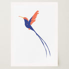 Hummingbird Art Print-Skudaboo
