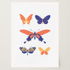 Colourful Butterfly Art Print-Skudaboo