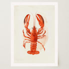 Red Lobster Illustration Wall Art Print-Skudaboo